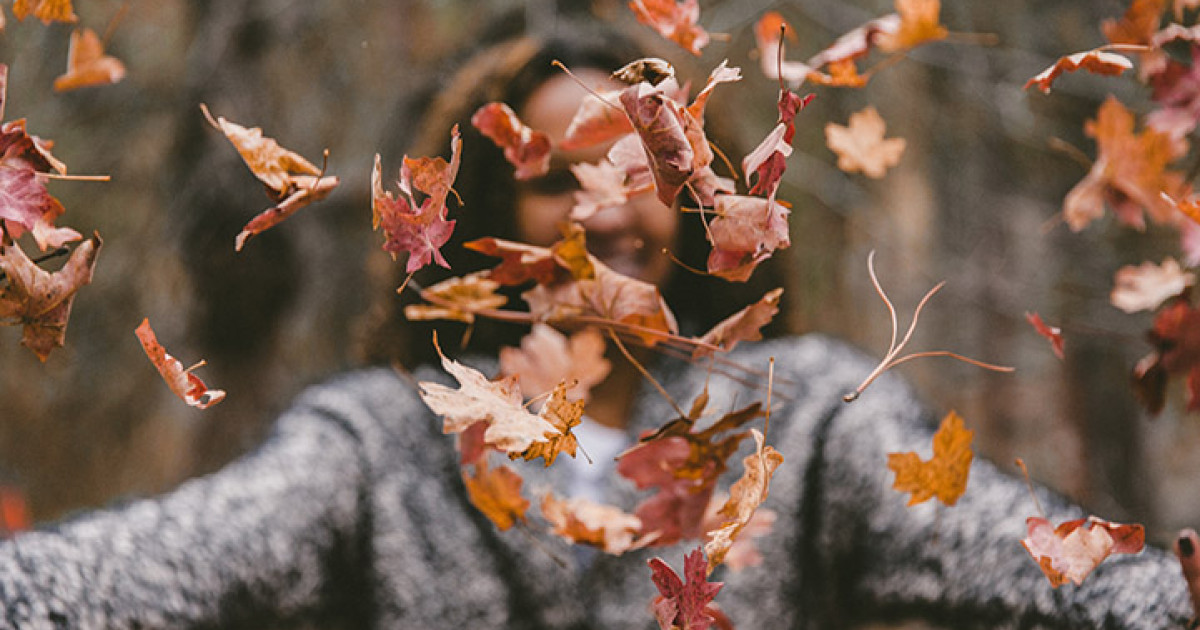 Embracing the Magic of Autumn: A Season of Transformation